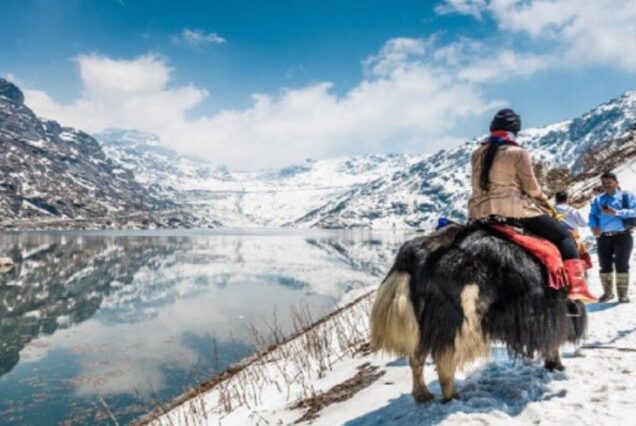 Gangtok Pelling Darjeeling Tour Package