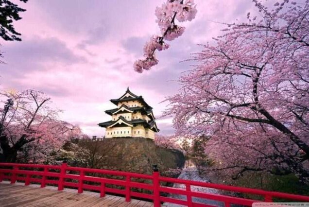 japan tour package